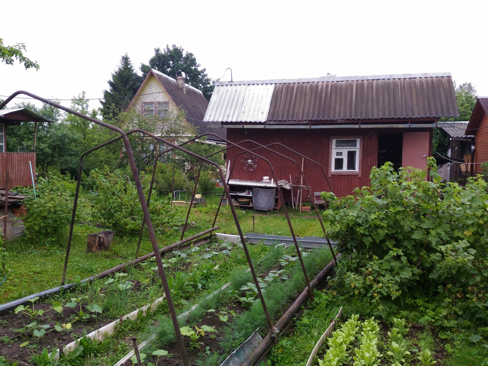 СНТ Чисменское Волоколамский район